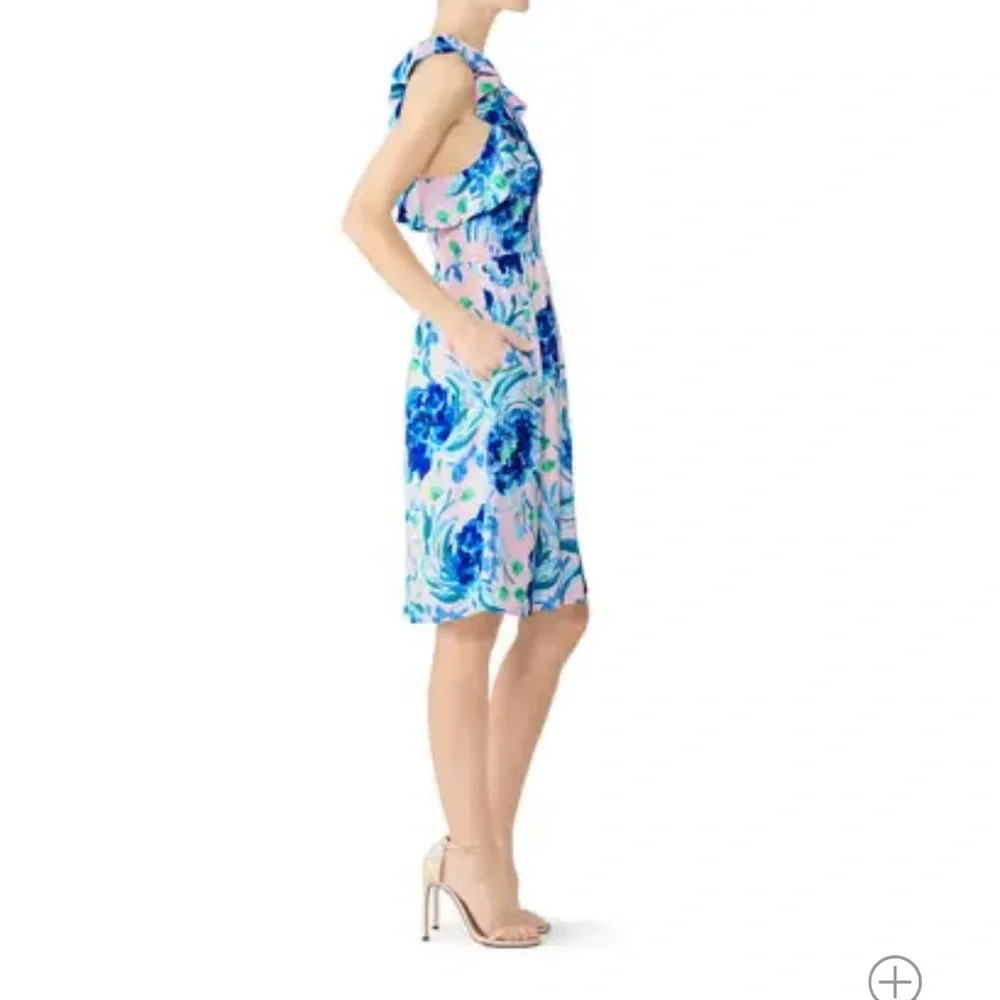 Lilly Pulitzer Rory Dress 4 - Picture 5 of 13